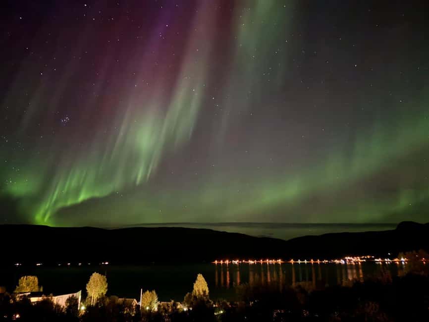 Tromsø: Northern Lights Tour with Photos & Snacks - Price, comfort, and what you need to bring