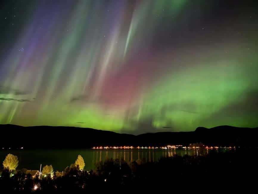 Tromsø: Northern Lights Tour with Photos & Snacks - Who will enjoy this Tromsø night most?