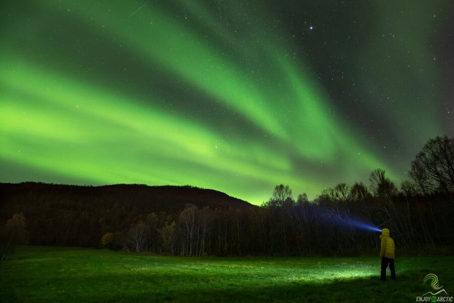 Tromsø: Northern Lights Trip with Campfire and Snacks - Key points at a glance