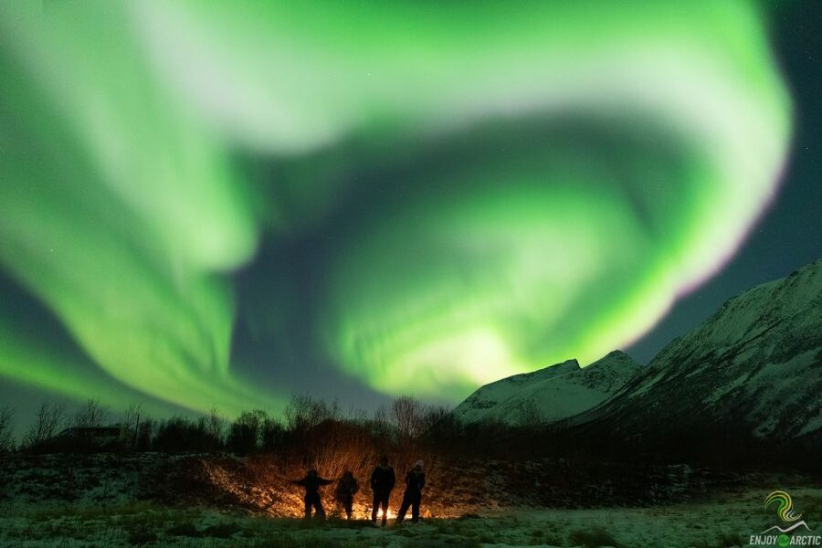Tromsø: Northern Lights Trip with Campfire and Snacks - Lapland, mountains, coast, and Finland possibilities