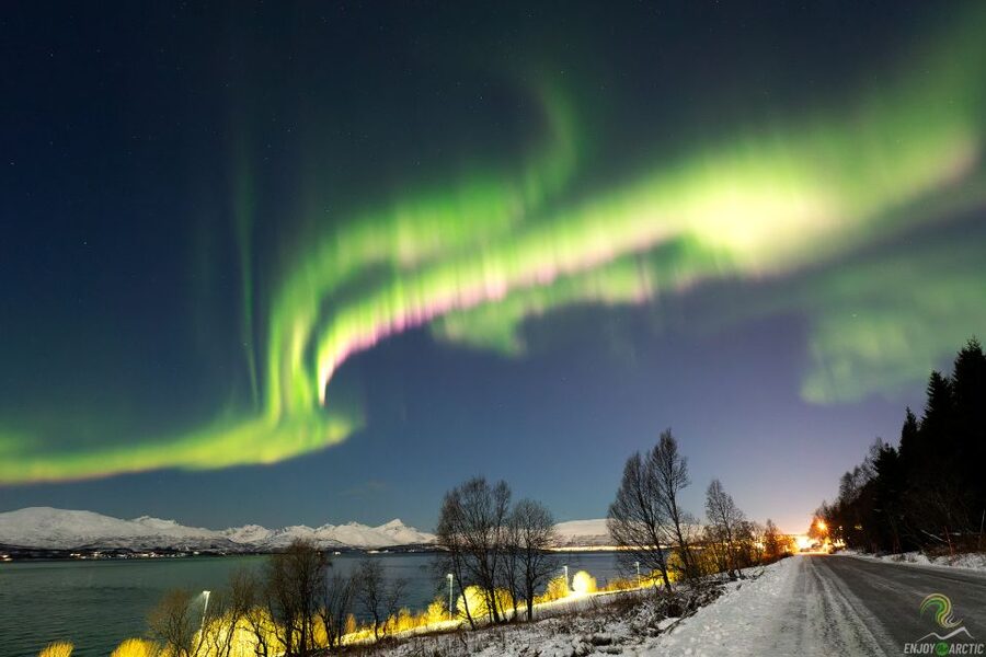 Tromsø: Northern Lights Trip with Campfire and Snacks - Who should book this experience?