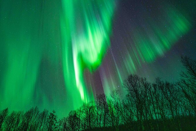 Tromsø Northern Lights with Campfire and Professional Photos - Campfire food and a taste of northern Norway