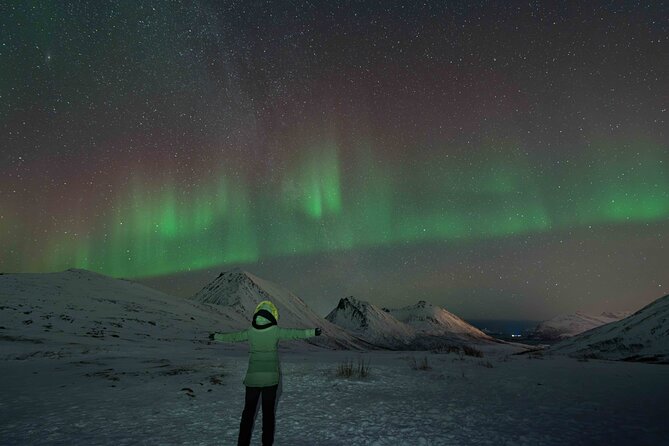 Tromsø Northern Lights with Campfire and Professional Photos - Is $310.85 a fair price?