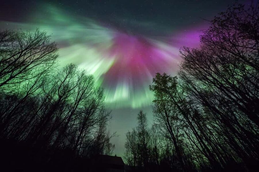 Tromsø: Premium Northern Lights Chase with Free Photos - Guides make or break a long night