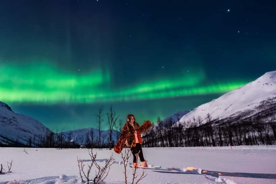 Tromsø: Premium Northern Lights Tour Small Group 8 Guests - Key points at a glance