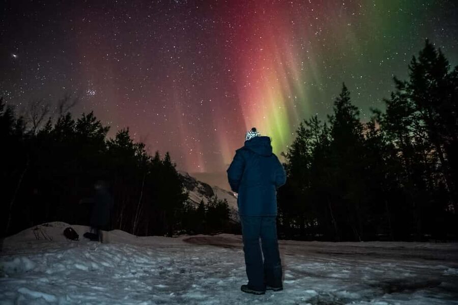 Tromsø: Premium Northern Lights Tour Small Group 8 Guests - Professional portraits without a photo surcharge