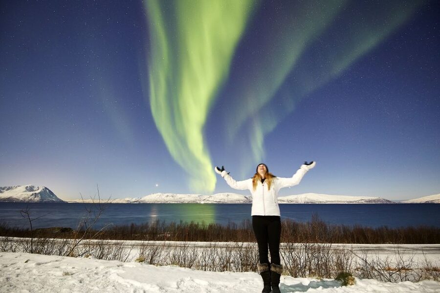 Tromsø: Private 6-Hour Aurora Chase by Minivan - Waiting under the sky with coffee and muffins