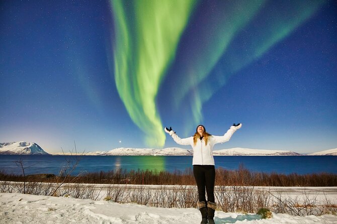 Tromso: Private Aurora Chase by Minivan - Key points at a glance
