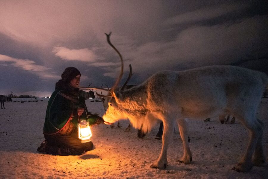 Tromsø: Reindeer Camp Dinner with Chance of Northern Lights - Sámi stories, reindeer herding, and joik