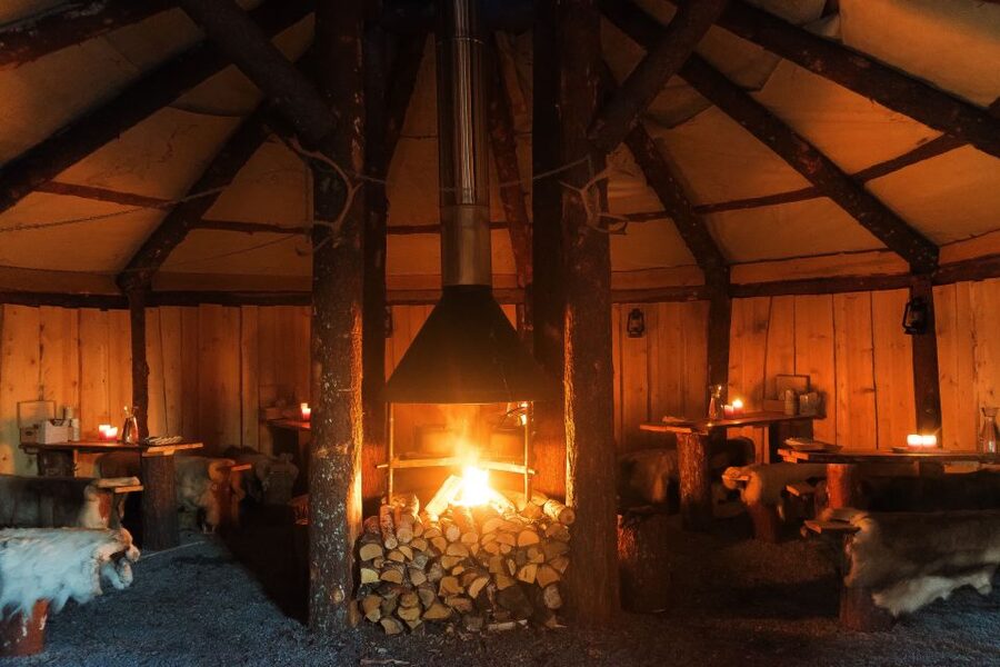 Tromsø: Reindeer Sled, Dinner, and Chance of Northern Lights - What the evening really offers
