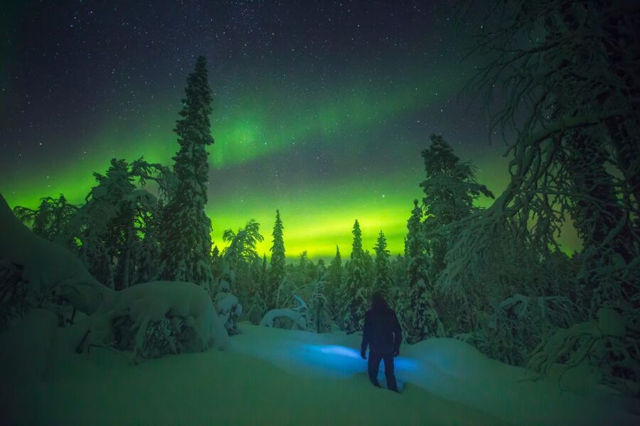 Tromsø: Reindeer Sled, Dinner, and Chance of Northern Lights - Inside the gamme, the cold finally loses