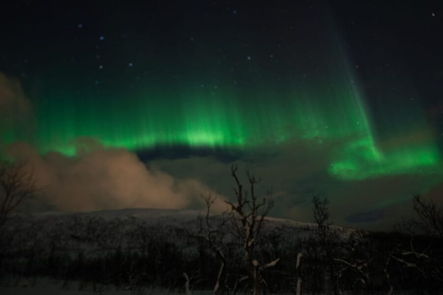 Tromsø: Small-Group Adventurous Northern Lights Hunt - Walking beyond the roadside