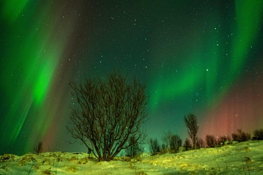 Tromsø: Small-Group Adventurous Northern Lights Hunt - The minibus ride into the Arctic night
