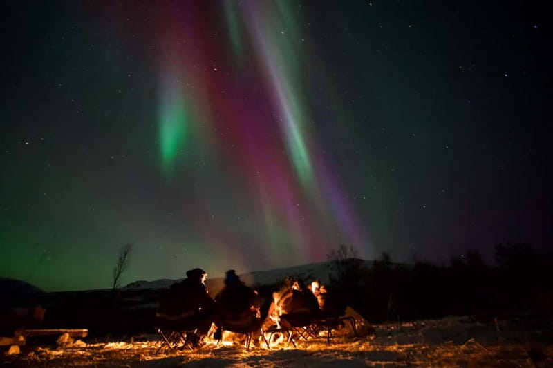 Tromsø: Small-Group Northern Lights Tour by Minibus - Meeting at Scandic Ishavshotel in central Tromsø