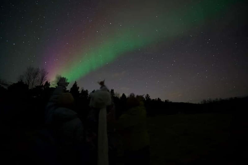 Tromsø: Small-Group Northern Lights Tour by Minibus - What the evening feels like from start to finish