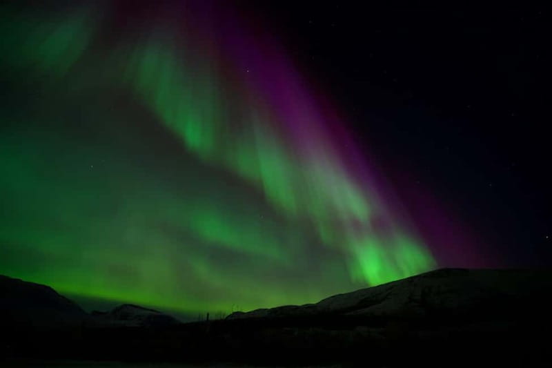 Tromsø: Small-Group Northern Lights Tour by Minibus - Is $251 a fair price?