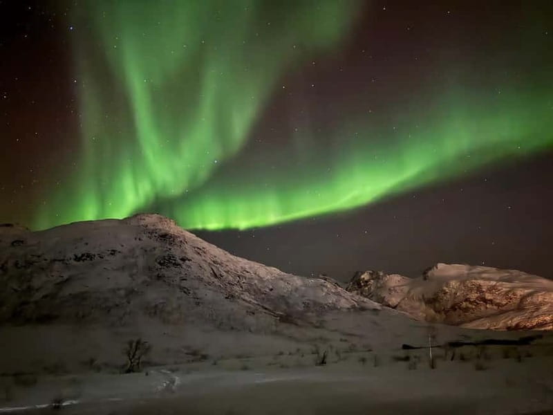 Tromsø: Small-Group Northern Lights Tour by Minibus - Who will enjoy this tour most?