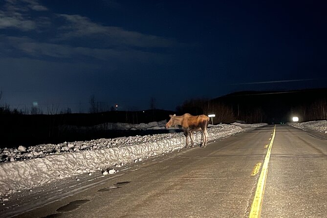 Vip Aurora Adventure from Fairbanks - Why this small Fairbanks tour is appealing