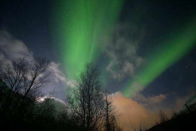 Watching The Aurora Dance - Photos, tripods, and realistic aurora expectations