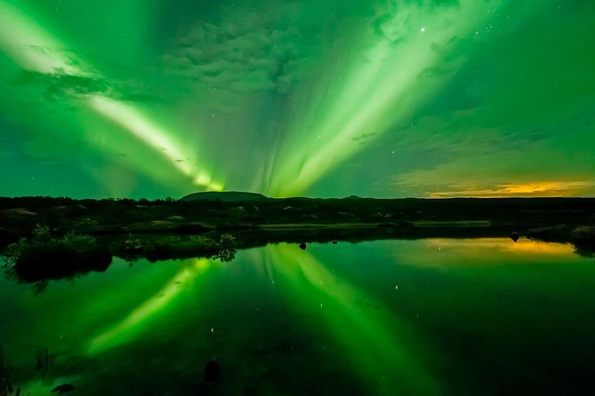 Whale Watching and Northern Lights Half-Day Combo Tour - How good is the $176 value?