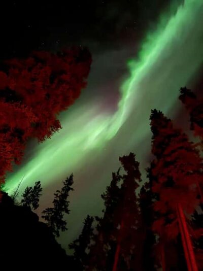 Aurora Viewing with Wild Adventure Yukon