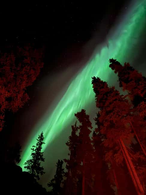 Whitehorse: Aurora Viewing with Wild Adventure Yukon - What the aurora viewing can and cannot promise