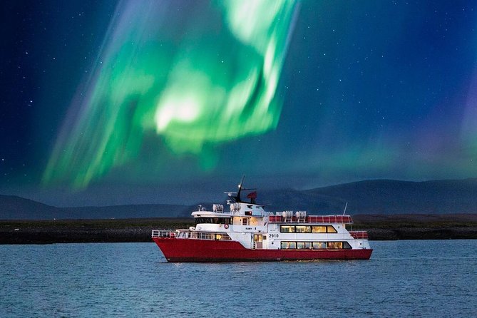Winter Whale Watching and Northern Lights Cruise from Reykjavik - Two Reykjavik cruises, one long Icelandic outing