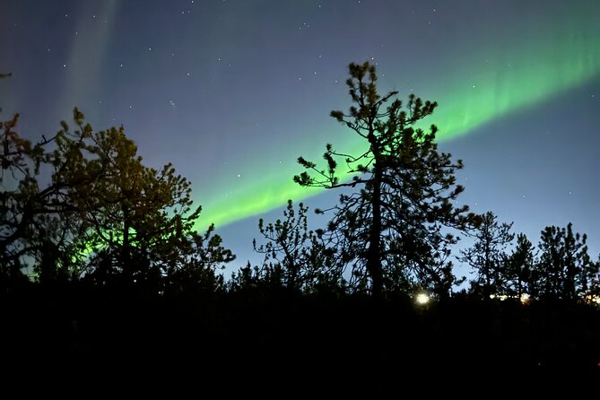 Yellowknife Aurora Hunting Tour - Key points about the Yellowknife aurora hunt