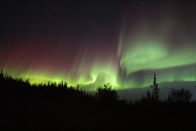 Yellowknife Aurora Hunting Tours by Bus - Why this Yellowknife aurora tour works as a hunt