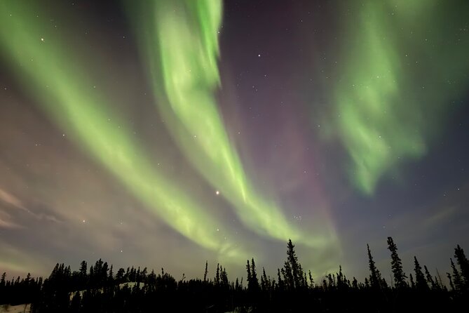 Yellowknife Aurora Hunting Tours by Bus - Luke and Tina: the people behind the search