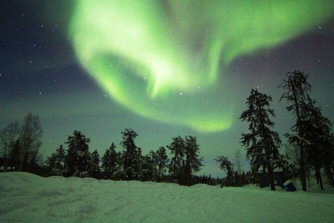 Yellowknife Aurora Hunting Tours by Bus - Photos, snacks, and the comfort level