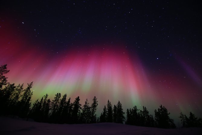 Yellowknife Tours - Aurora by bus - Cold weather, hot drinks, and bus comfort
