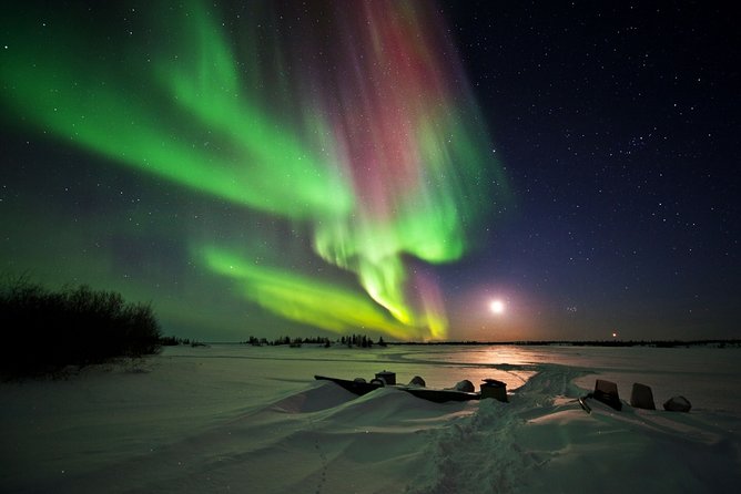 Yellowknife Tours - Aurora by bus - Timing, pickup, and the long northern night