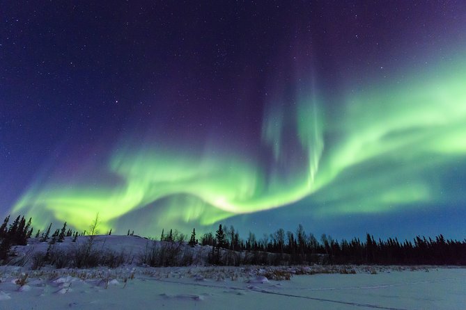 Yellowknife Tours - Aurora by bus - What $102.89 buys you