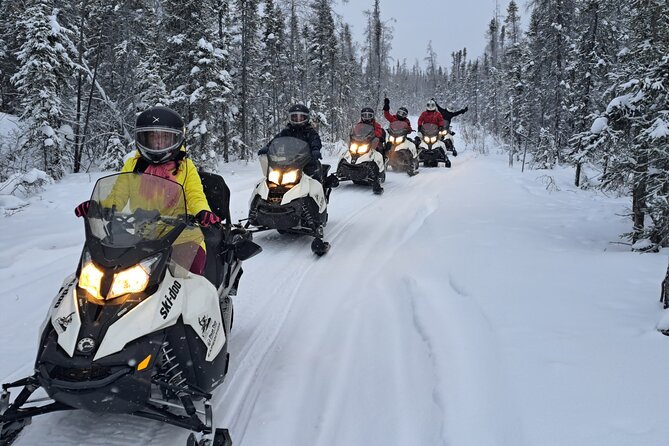 Yellowknife Winter 5 Days 4 Nights: Aurora and Day Activities - Day 1: Airport pickup and your first aurora night