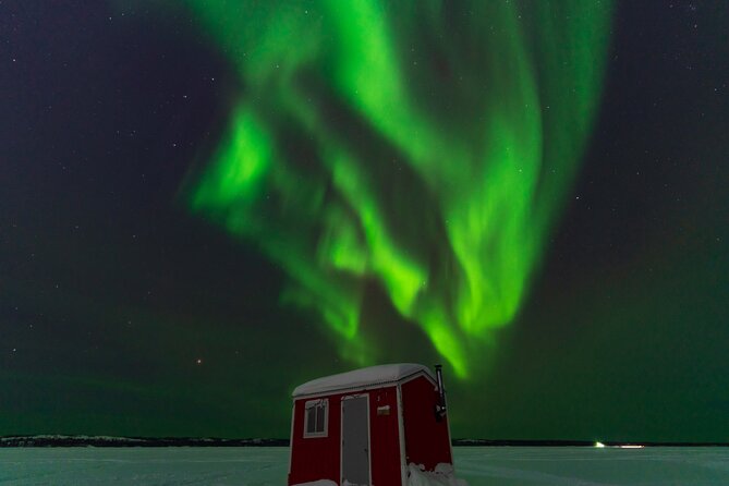Yellowknife Winter 5 Days 4 Nights: Aurora and Day Activities - Day 4: Dog sledding and one more chance at the lights