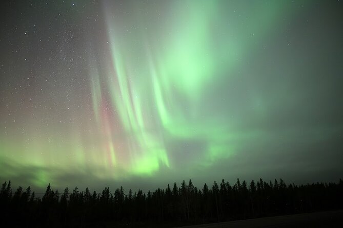 Yellowknife Winter 5 Days 4 Nights: Aurora and Day Activities - Is $960.76 a fair price?