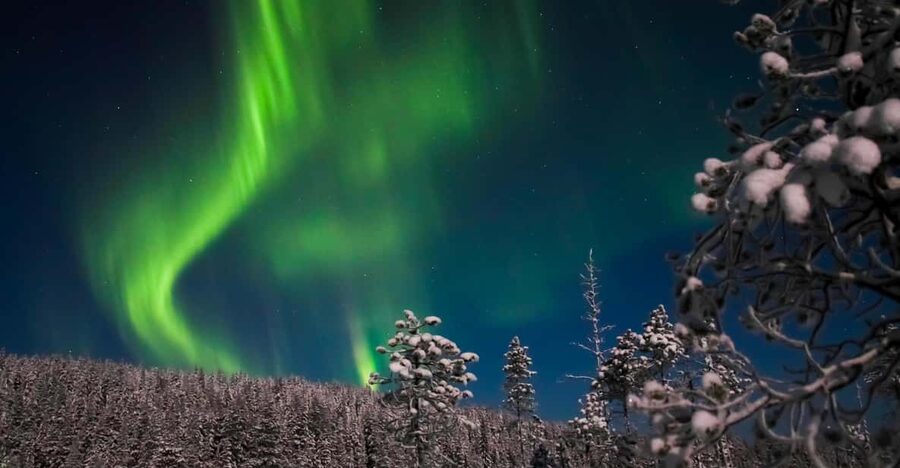 Ylläs: Seeking Northern Lights Photo Tour - The search for the Northern Lights
