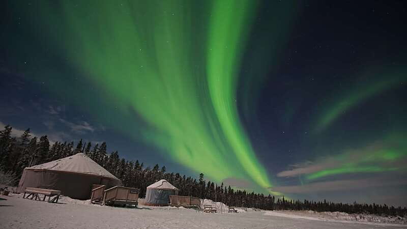 Yukon: Aurora Borealis Late Night Viewing Tour - What the guide adds to a sky-watching evening