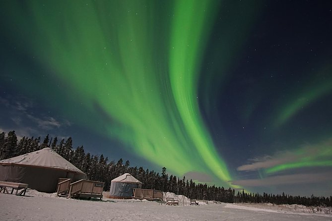 Yukon Aurora Viewing Package | 4 days - Day three: free time, winter choices, and the strongest repeat advantage